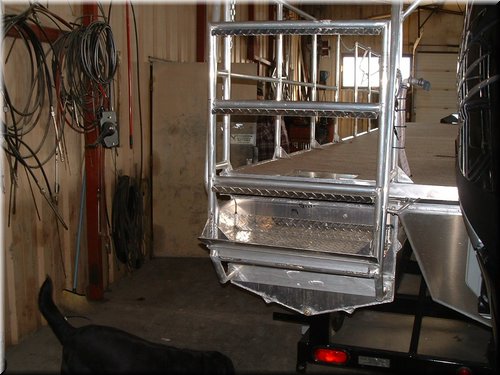Ladder 1.jpg